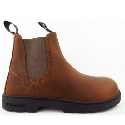 El Naturalista Arinzona terra Chelsea Boot in terra