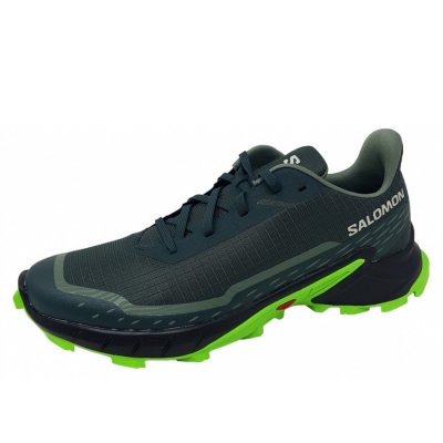 Salomon Alphacross 5 Wanderschuh in darkest spruce blk gecko