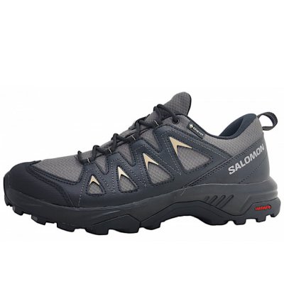 Salomon X Braze GTX Wanderschuh in magnet/black/green