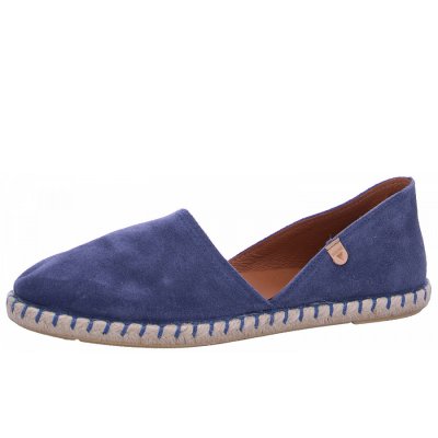 Verbenas Carmen Slipper in iris